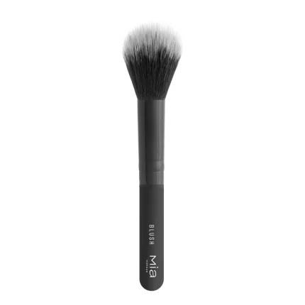 PENNELLO PER IL BLUSH