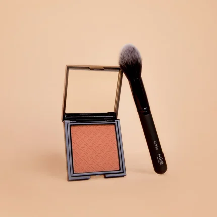 PENNELLO PER IL BLUSH