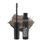 FORMA & VOLUME 02 Taupe - 4,5 g